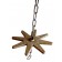 Pigstar Bio-Line